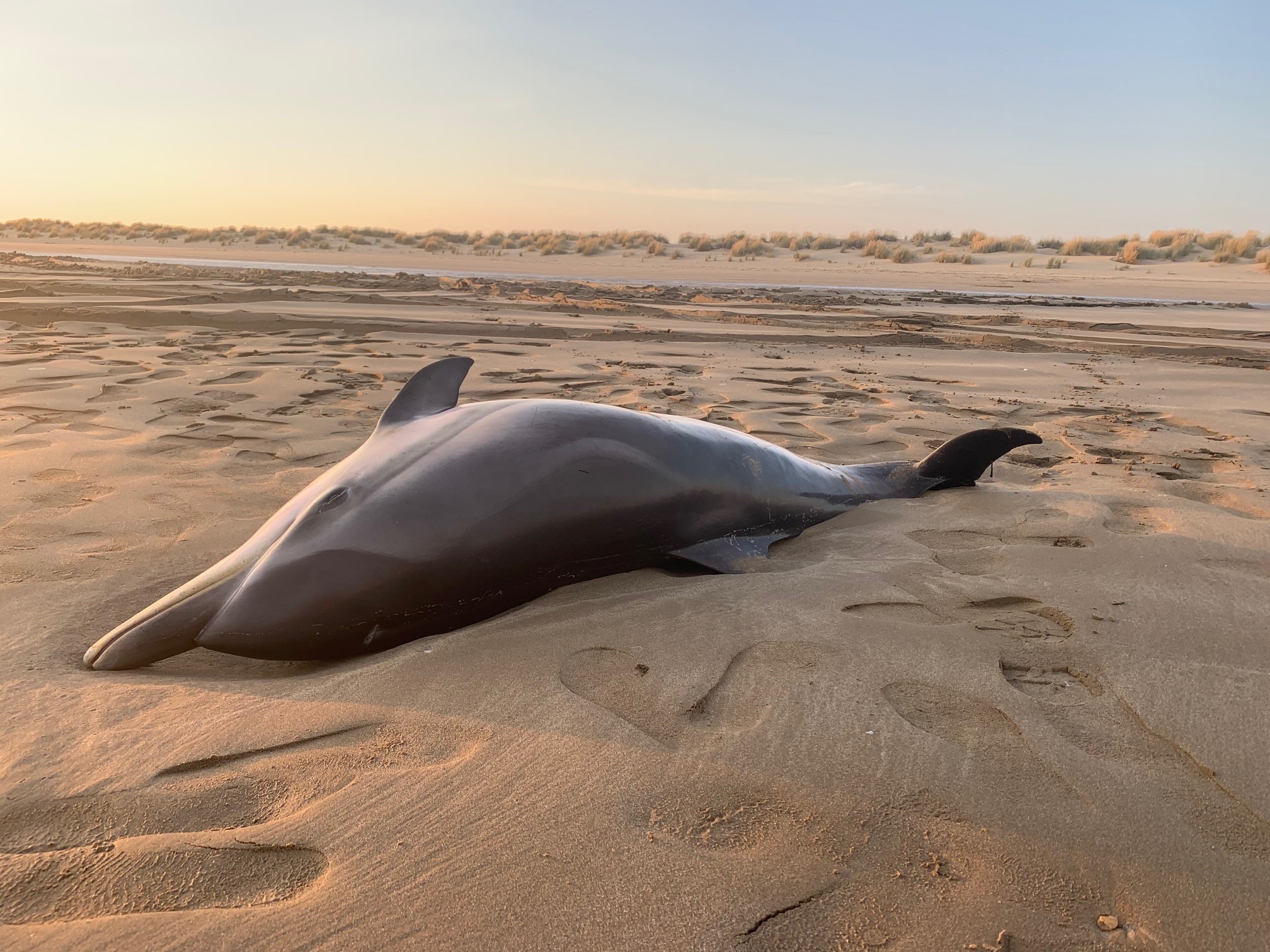 ¿Qué es un varamiento?