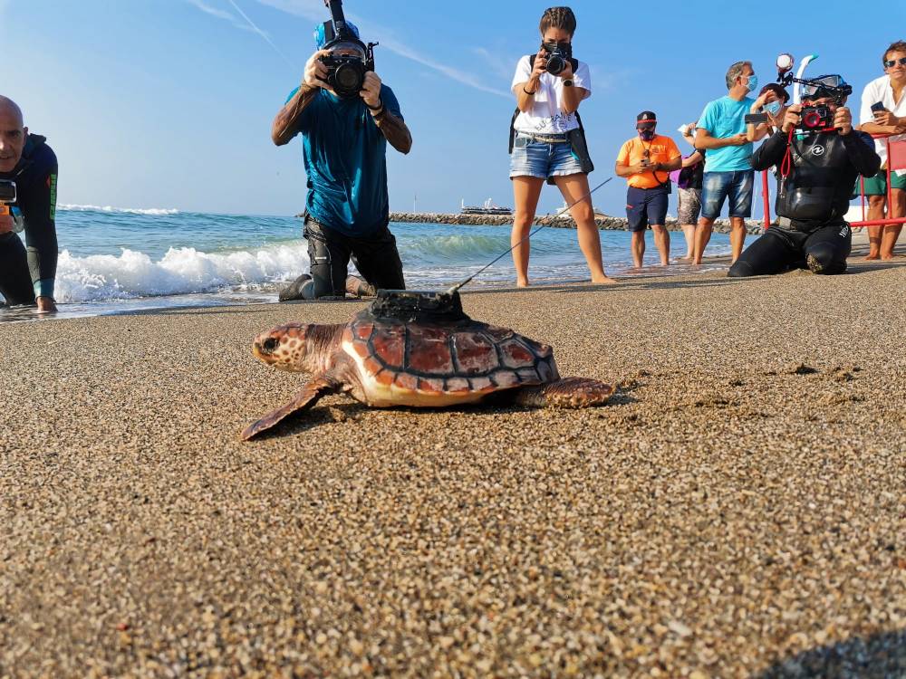 Liberación controlada con marcaje