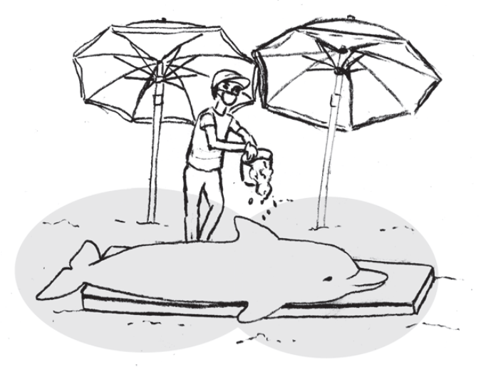 Animal marino varado - Protocolo 112